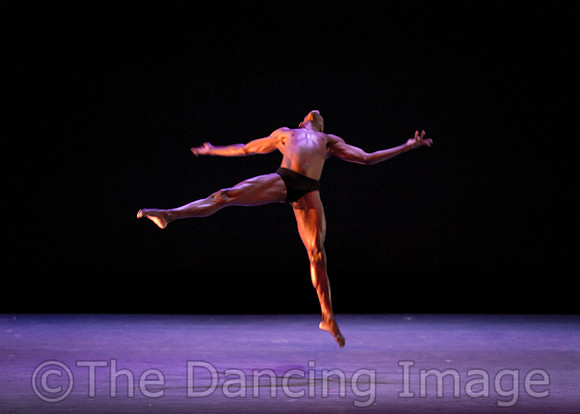 Alvin Ailey ADT-2317