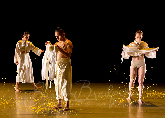 DCCD Yellow - pc Sharen Bradford-0092