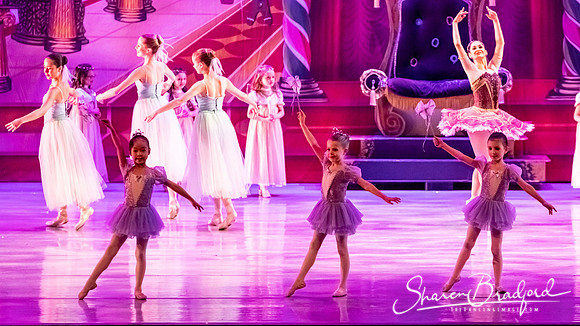 CCBT Nutcracker 19 pc Sharen Bradford-5311