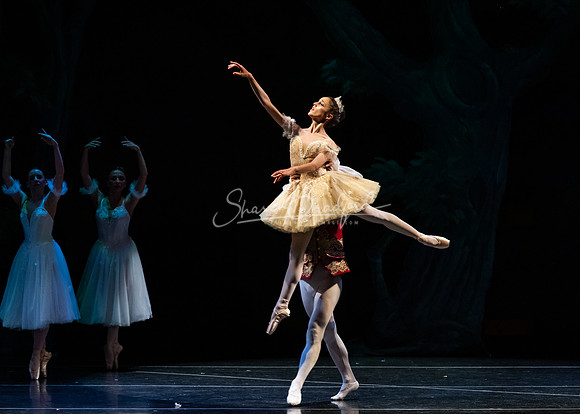 Ballet NTX Sleeping Beauty pc Sharen Bradford-1513