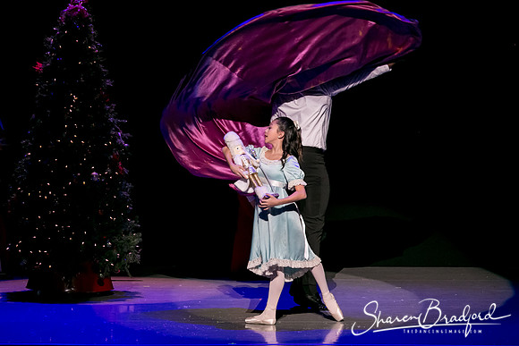 Rockefeller Christmas 1 pc Sharen Bradford-5693