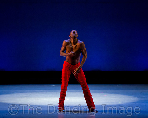 Alvin Ailey ADT-0076