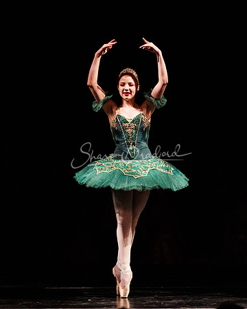 Royale Ballet Nutcracker 2023 pc Sharen Bradford-9361