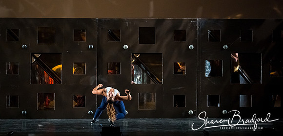 DIAVOLO - Voyage pc Sharen Bradford-0364