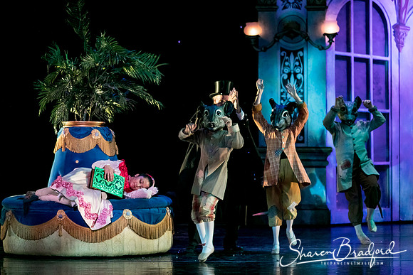 Nutcracker Battle eve pc Sharen Bradford-6388