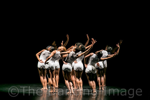 Convergent-0201