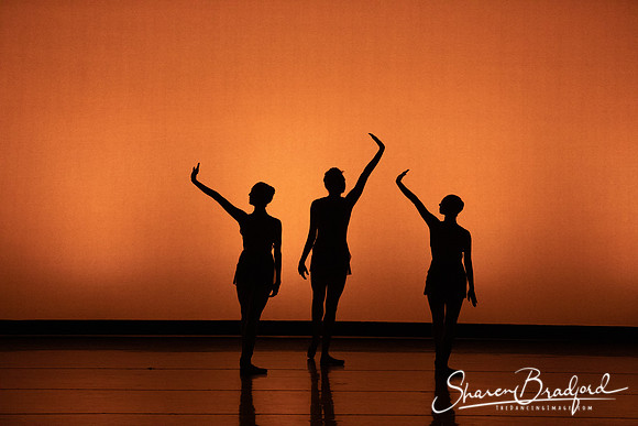 TBT Studio  pc Sharen Bradford-3936