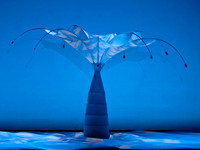 Botanica-0042