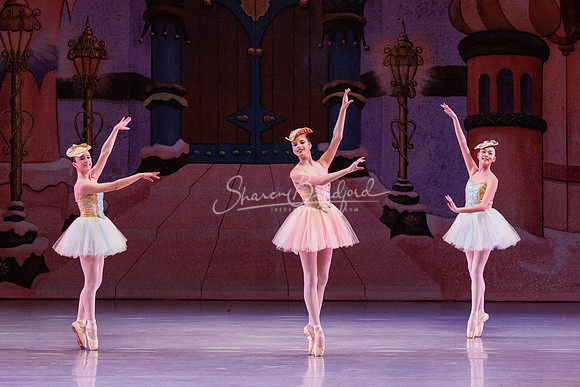 CPA Nutcracker 11-25-23 pc Sharen Bradford-1756