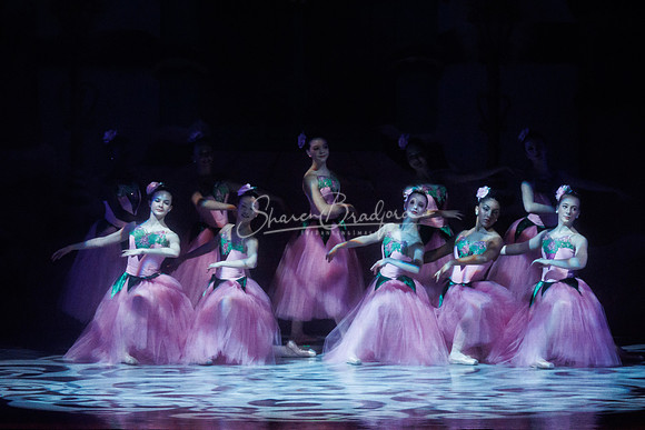 CPA Nutcracker 11-25-23 pc Sharen Bradford-2095