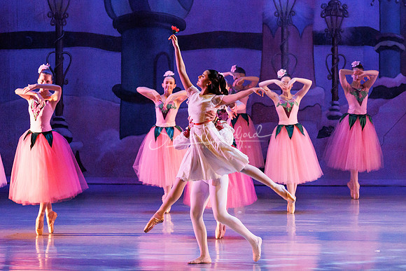 CPA Nutcracker 11-25-23 pc Sharen Bradford-2106