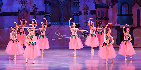 CPA Nutcracker 11-25-23 pc Sharen Bradford-2134