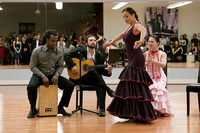 Flamenco-2-5