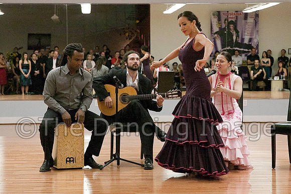 Flamenco-2-5