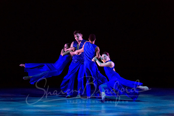 Following Echoes - pc Sharen Bradford-3399