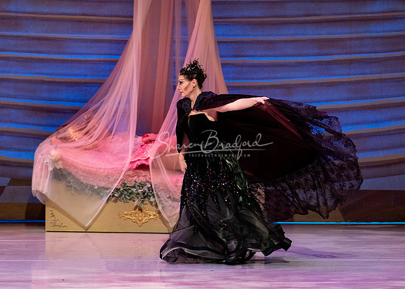 BNTX Sleeping Beauty 2024 pc Sharen Bradford-1663