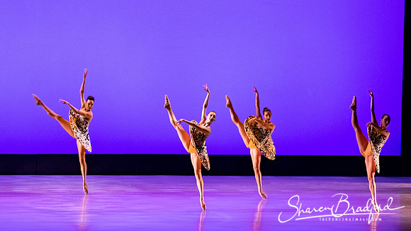 Ballet 37 pc Sharen Bradford-0312