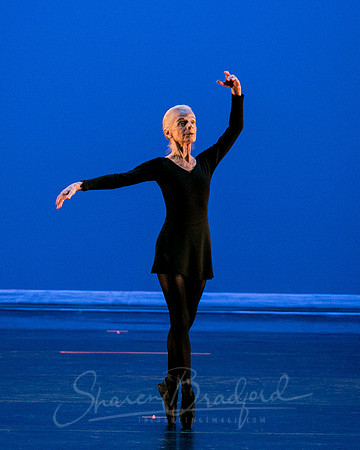 Suzelle Poole- Romance-1318