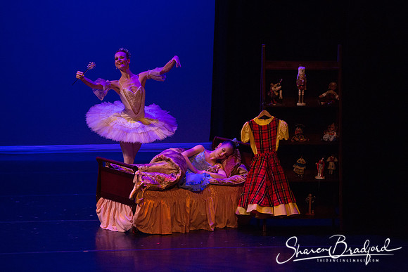 Clara's Dream 2019 pc Sharen Bradford-0035