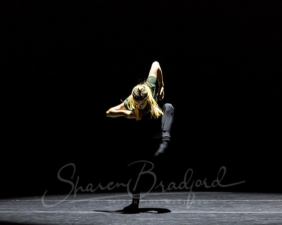 Same but Different pc Sharen Bradford-0330