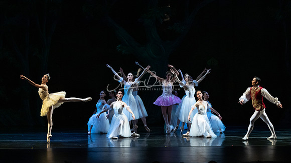 Ballet NTX Sleeping Beauty pc Sharen Bradford-1338