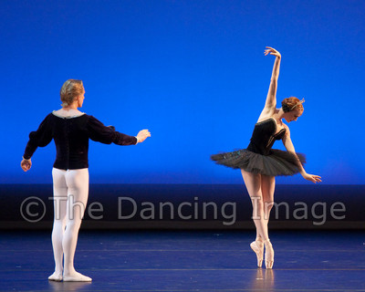 Black Swan-1159