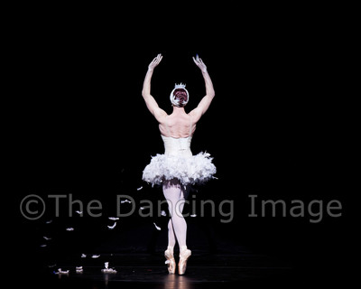 Dying Swan-0488