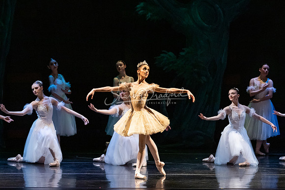 Ballet NTX Sleeping Beauty pc Sharen Bradford-1361