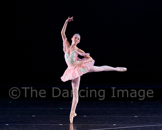 sateve2010-5220