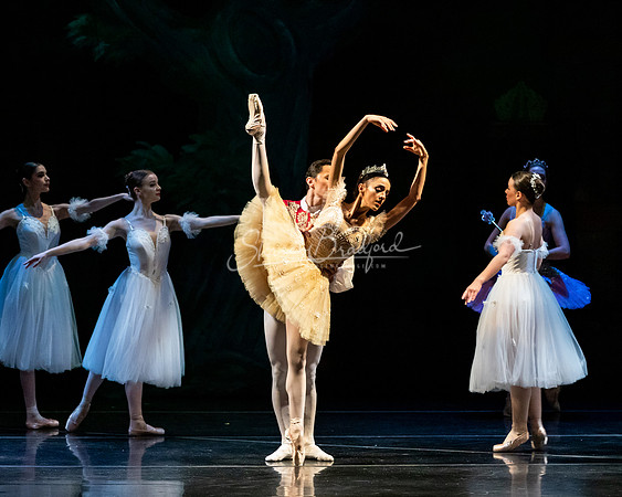Ballet NTX Sleeping Beauty pc Sharen Bradford-1295