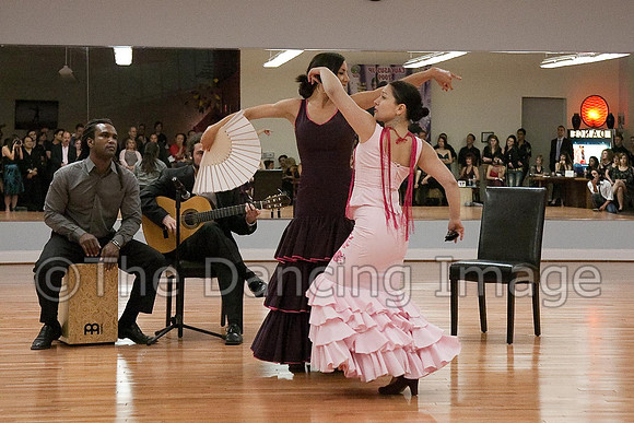 Flamenco-2-81