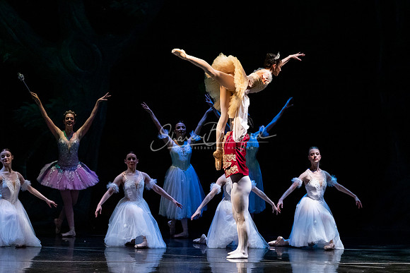 Ballet NTX Sleeping Beauty pc Sharen Bradford-1255