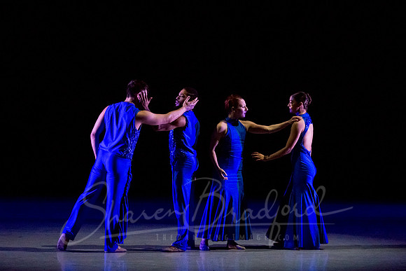 Following Echoes - pc Sharen Bradford-3340