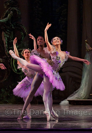 TB Sleeping Beauty Wed.-0126-2