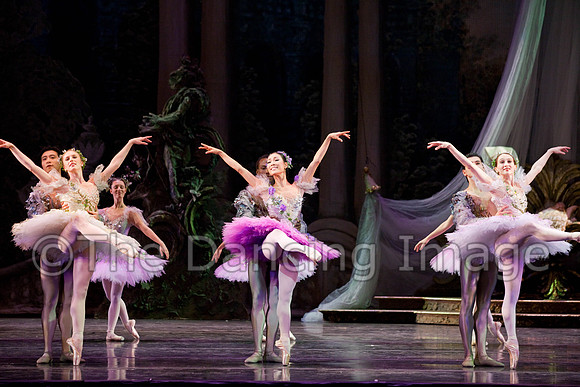 TB Sleeping Beauty Wed.-0130
