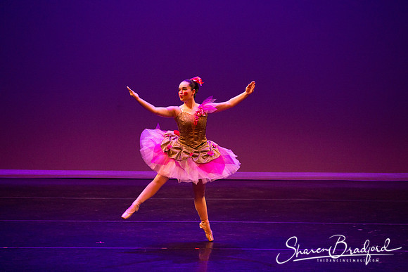 Clara's Dream 2019 pc Sharen Bradford-0047