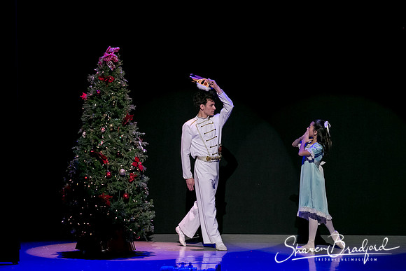 Rockefeller Christmas 1 pc Sharen Bradford-5718