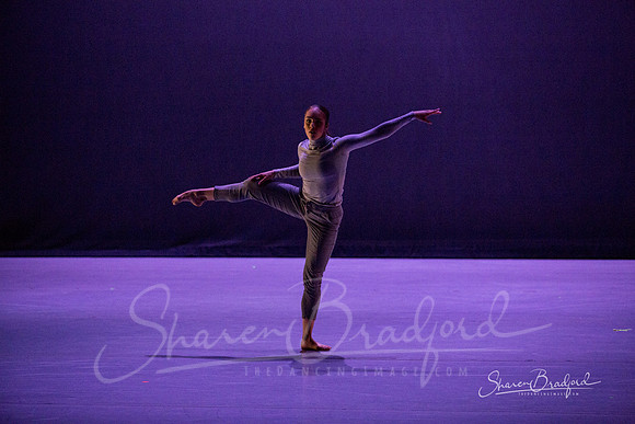 Lingering Shadow pc Sharen Bradford-7035