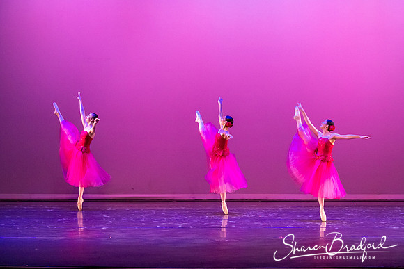 Waltz of the Flowers pc Sharen Bradford-2786