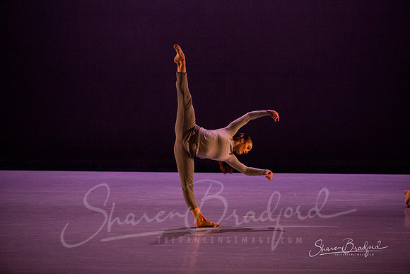 Lingering Shadow pc Sharen Bradford-7087