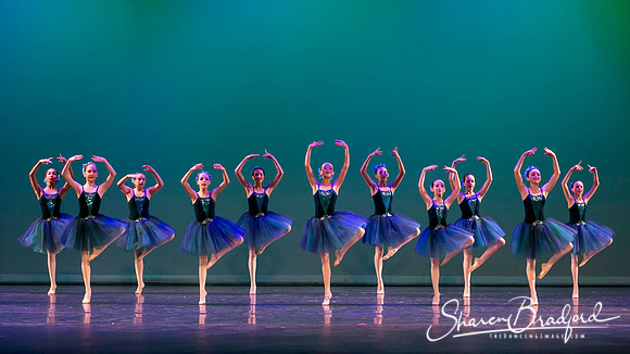 Khachaturian Waltz pc Sharen Bradford-3720