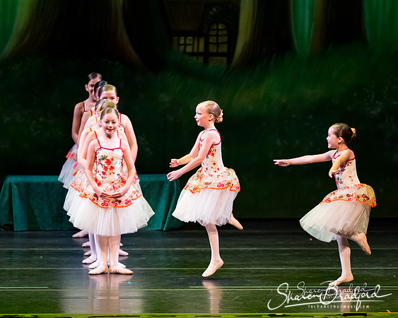 Tea Party Ladies-0407