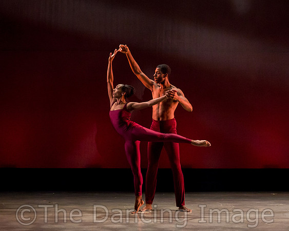 DBDT Encore-8770