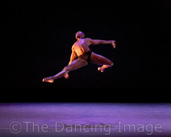 Alvin Ailey ADT-2323