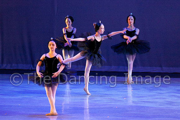 The Black Swans-3407