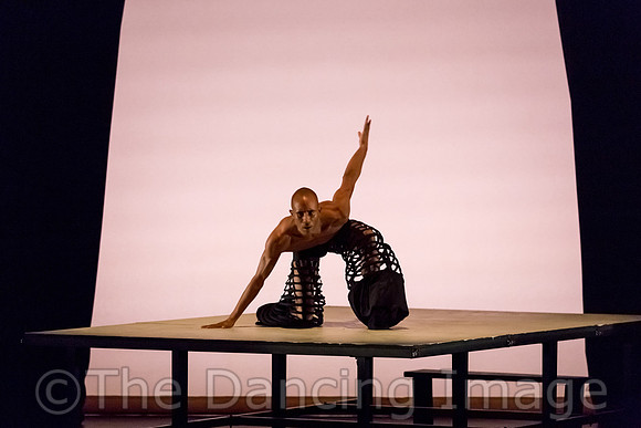 Uncharted Territory - pc Sharen Bradford-3538