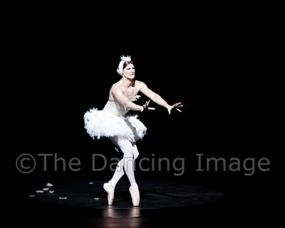 Dying Swan-0542