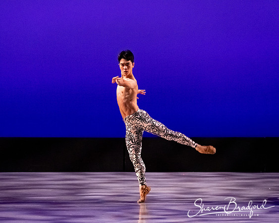 Ballet 37 pc Sharen Bradford-0469