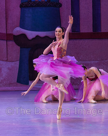 IMG_1549