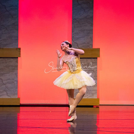 Ballet NTX Sleeping Beauty pc Sharen Bradford-0195